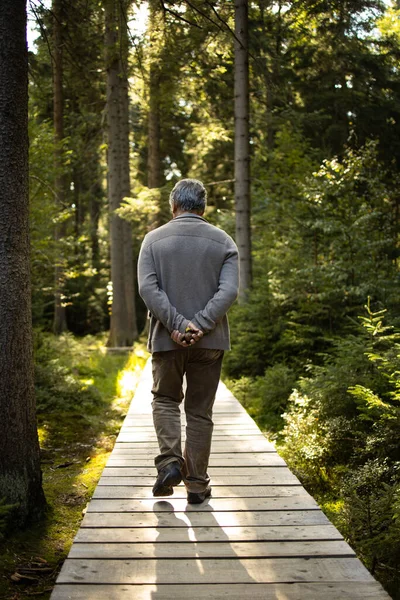 Senior Man Enjoying Outdoors Hiking Walking Throught Lovely Nature — Stock Photo, Image