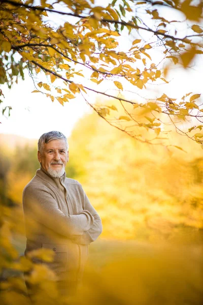 秋の屋外でハンサムな老人の肖像画 現役の先輩が自然の中で引退を楽しんでいる — ストック写真