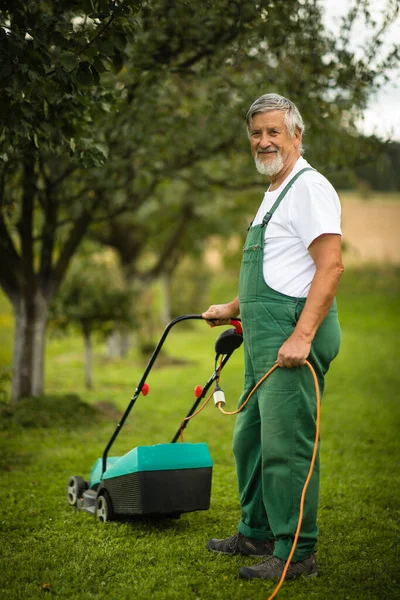 Ανώτερος Κηπουρός Κηπουρός Στον Κήπο Του Permaculture — Φωτογραφία Αρχείου