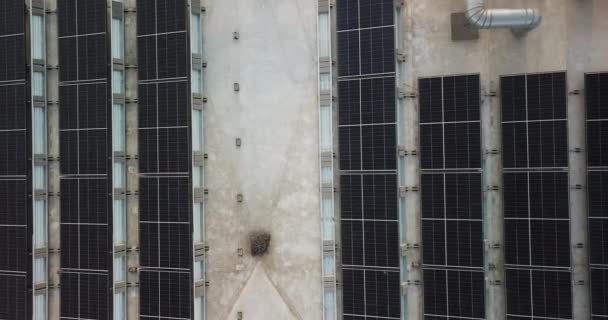 Aérea Paneles Solares Azotea Una Nave Industrial Para Una Energía — Vídeo de stock