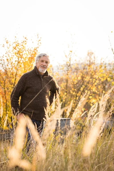 Feliz Hombre Mayor Disfrutando Hermoso Día Otoño Aire Libre — Foto de Stock