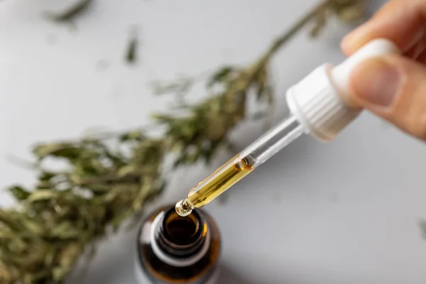 Cbd Cannabis Droplet Dosagem Uma Pla Cânhamo Biológica Ecológica — Fotografia de Stock