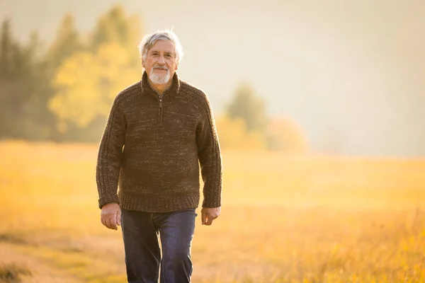 Счастливый Пожилой Человек Наслаждается Прекрасным Осенним Днем Свежем Воздухе — стоковое фото