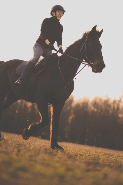 Jinete Hembra Montando Aire Libre Hermoso Caballo — Foto de Stock