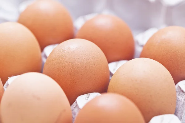 Eier in einer Schachtel anordnen — Stockfoto