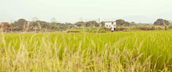 Asiático homem na natureza — Fotografia de Stock