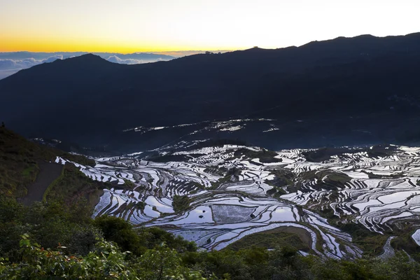 Nascer do sol em campos de arroz terraço em Yuanyang, província de Yunnan, Chi — Fotografia de Stock