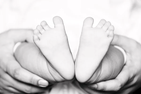 Newborn baby feet on female hands — Stock Photo, Image