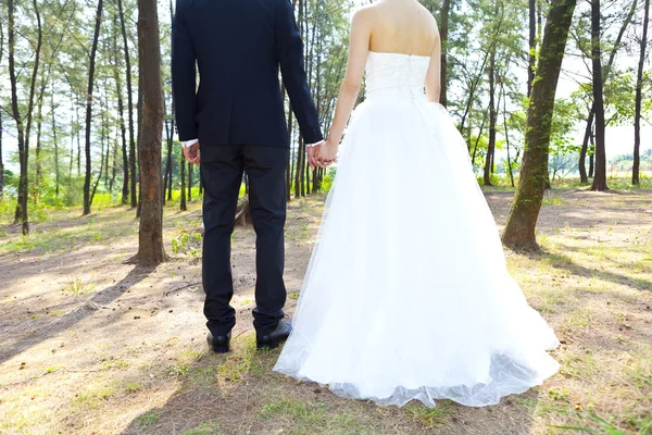 Amour en forêt, concept couple main dans la main . — Photo