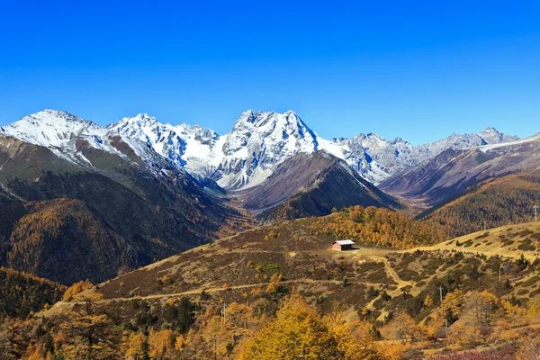 Paisagem de montanha de neve no outono — Fotografia de Stock