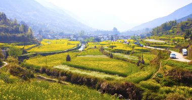 wuyuan, jiangxi eyaletinin, Çin'in kırsal manzara.