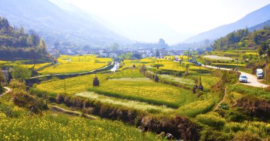 Rural landscape in Wuyuan, Jiangxi Province, China. clipart
