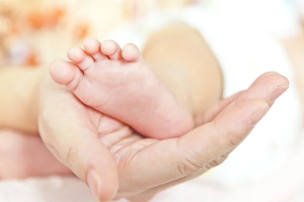 Feet of newborn baby in mothers hands — Stock Photo, Image