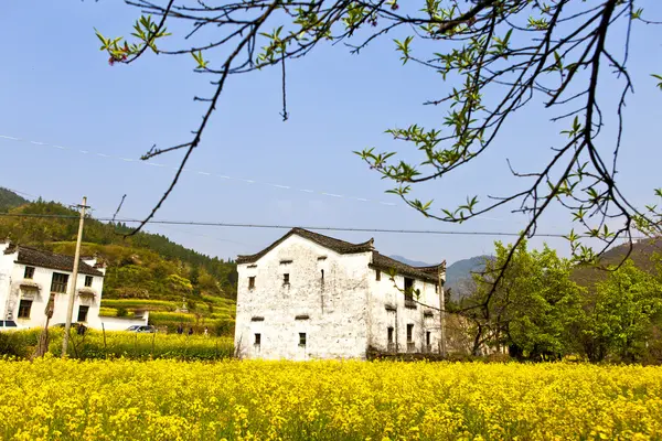Landelijke huizen in wuyuan, provincie jiangxi, china. — Stockfoto