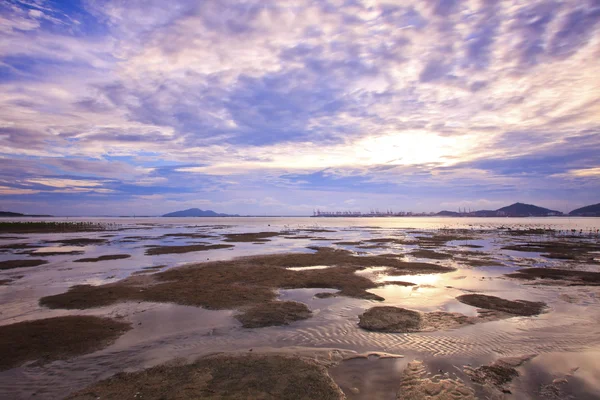 Sunset coast — Stock Photo, Image