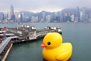 lastik ördek hong Kong