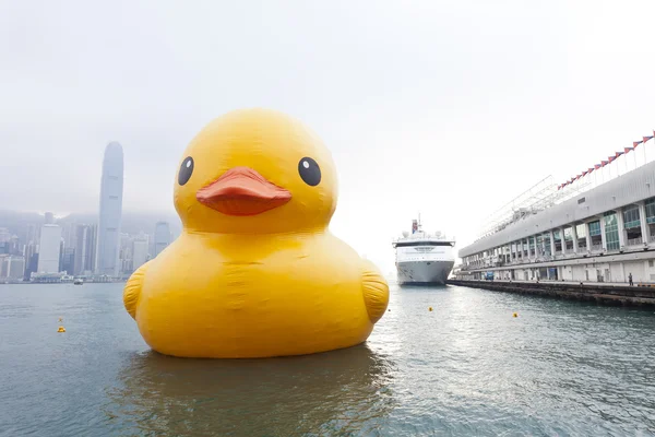 Rubber Duck in Hong Kong — Stock Photo, Image