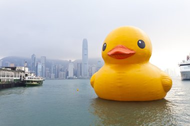 lastik ördek hong Kong