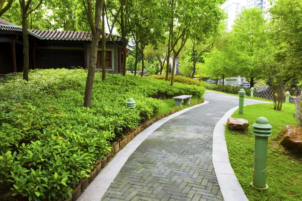 Kinesisk trädgård — Stockfoto