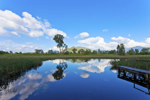 Feuchtwiesen-Teich bei Tag — Stockfoto