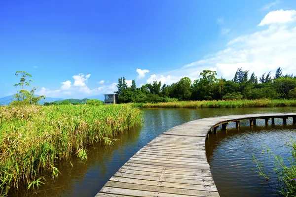 Våtmark trä sökvägen i sommar — Stockfoto