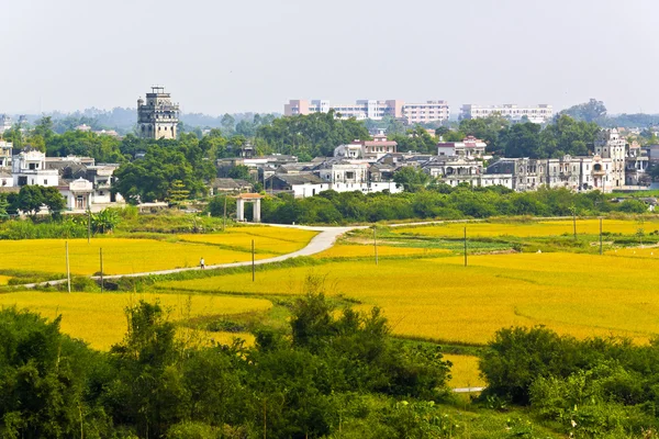 Paesaggio rurale intorno a Kaiping Diaolou in Cina, mondo Unesco — Foto Stock