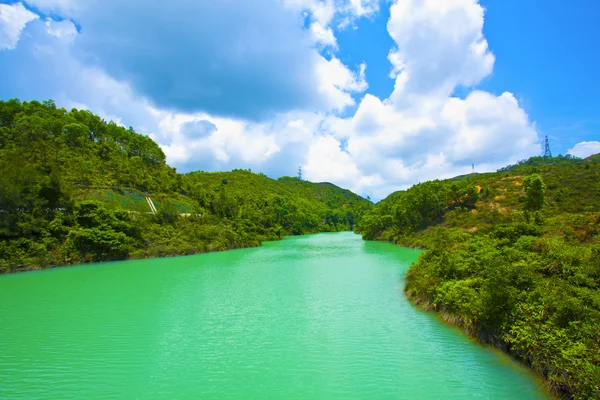 Hutan Picturesque dan kolam di Hong Kong — Stok Foto