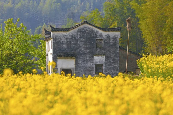 Ländliche Landschaft in Wuyuan — Stockfoto