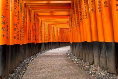 Kyoto, Japonya 'da fushimi inari türbesi.