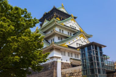 Japonya Osaka kale Manzaralı