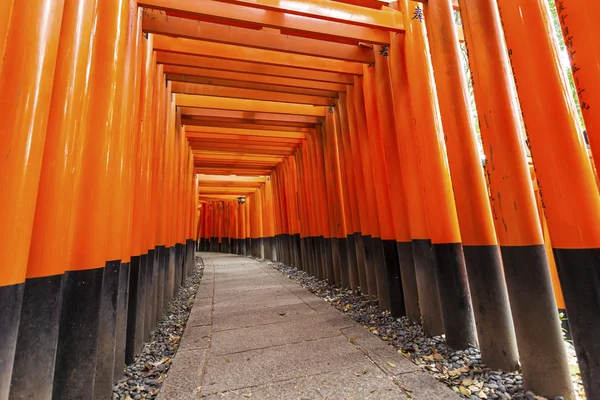 Santuário de fushimi inari em kyoto, japão. — Fotografia de Stock