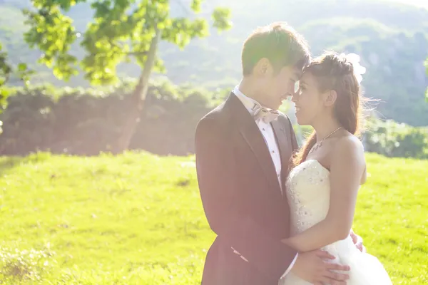 Bride and groom surrounding by natural golden sunlight — Stock Photo, Image