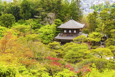 Japon orman tapınakta