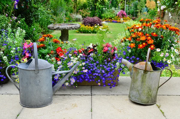 Summer flowers on the patio — Stock Photo, Image