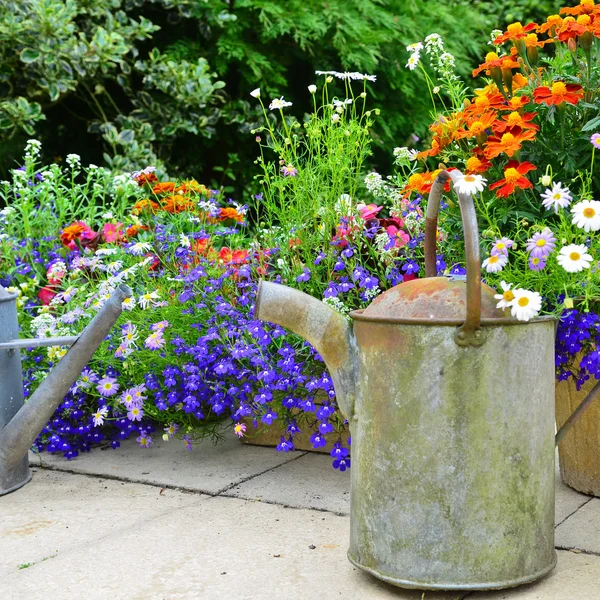 Summer flowers on the patio — Stock Photo, Image