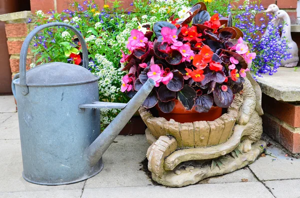 Summer flowers on the patio — Stock Photo, Image