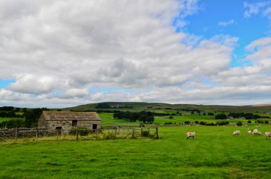 Yorkshire dales peyzaj