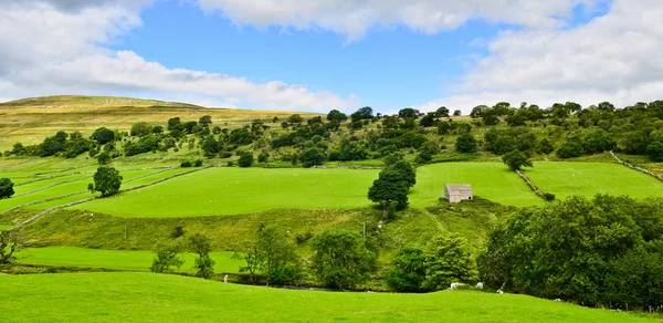 Yorkshire Dales paisaje — Foto de Stock