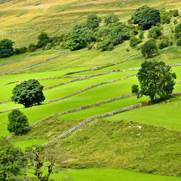 Yorkshire Dales paisagem — Fotografia de Stock