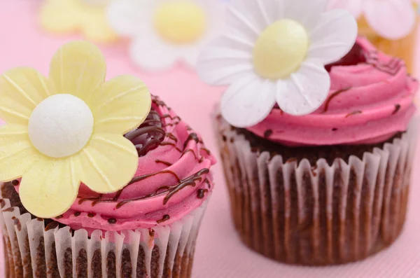 Cupcakes — Stockfoto