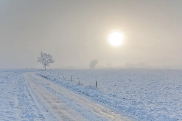 Paisagem de inverno com árvores neve embrulhada e estrada — Fotografia de Stock