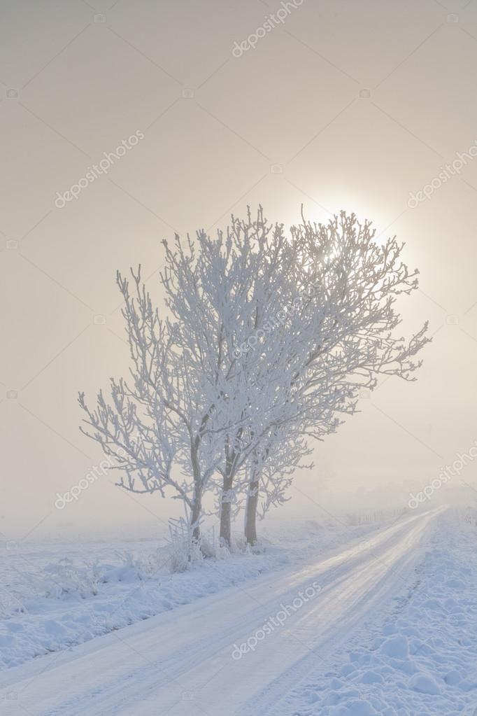 Paisagem de inverno com árvores neve embrulhada e estrada fotos, imagens de  © aleksander #37787285