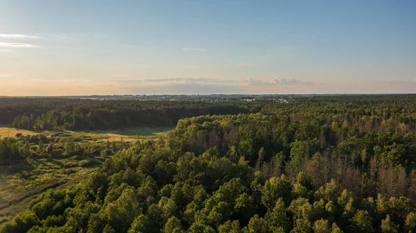 Polish Part Bialowieza Forest Hajnowka Aerial View Podlaskie Voivodeship Poland lizenzfreie Stockfotos