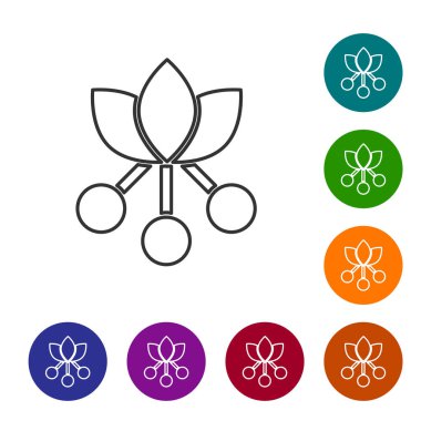 Siyah çizgi kahve çekirdeği, beyaz arka planda yaprak ve dut ikonu olan bir dal. Yapraklı bitki, dut, meyve, tohum. Simgeleri renk daire düğmelerine ayarla. Vektör