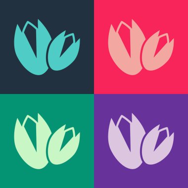 Pop Art Pistachio fındık ikonu renk arkaplanında izole edilmiş. Vektör