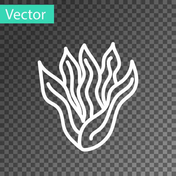 Weiße Linie Algensymbol isoliert auf transparentem Hintergrund. Unterwasseralgen Spirulina, Wasseralgenpflanze. Vegane und vegetarische Kost. Vektor. — Stockvektor