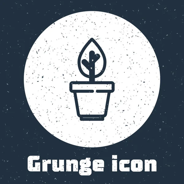 Grunge line Plant in pot icon isoliert auf grauem Hintergrund. Pflanze, die im Topf wächst. Topfpflanzenschild. Monochrome Vintage-Zeichnung. Vektor — Stockvektor