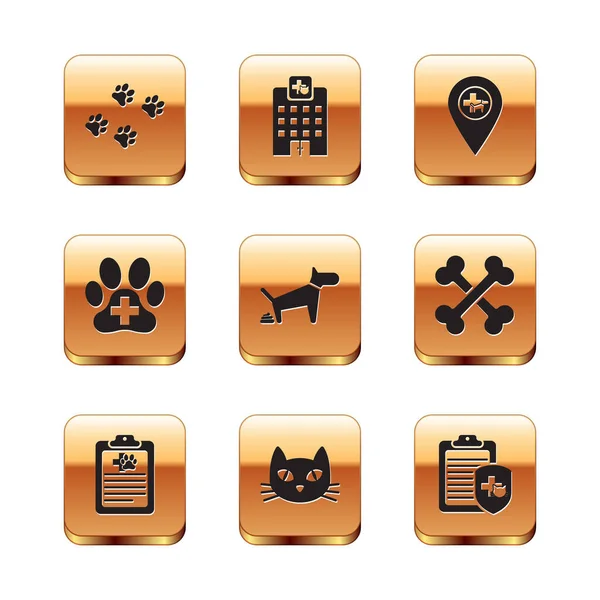 Set Paw print, Animal de estimação de registro clínico, Gato, cocô de cão, Clínica veterinária e ícone veterinário de localização. Vetor —  Vetores de Stock