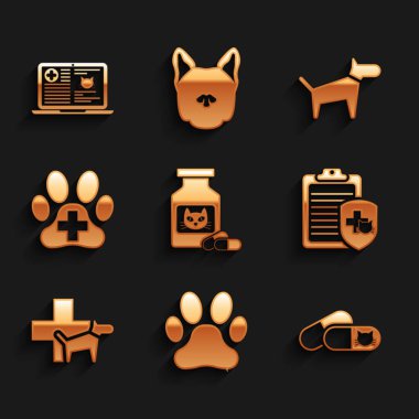 Kedi ilacı şişesi ve haplar, pençe izi, klinik kayıt hayvanı, veteriner kliniği ve ikon. Vektör