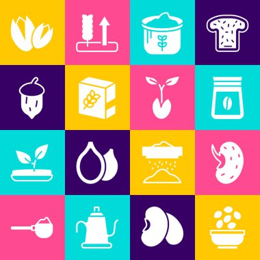 Tohumları kaseye koy, kahve çekirdeği, un, un, meşe ağacı, fındık tohumu, fıstık ve filizlenme ikonu. Vektör